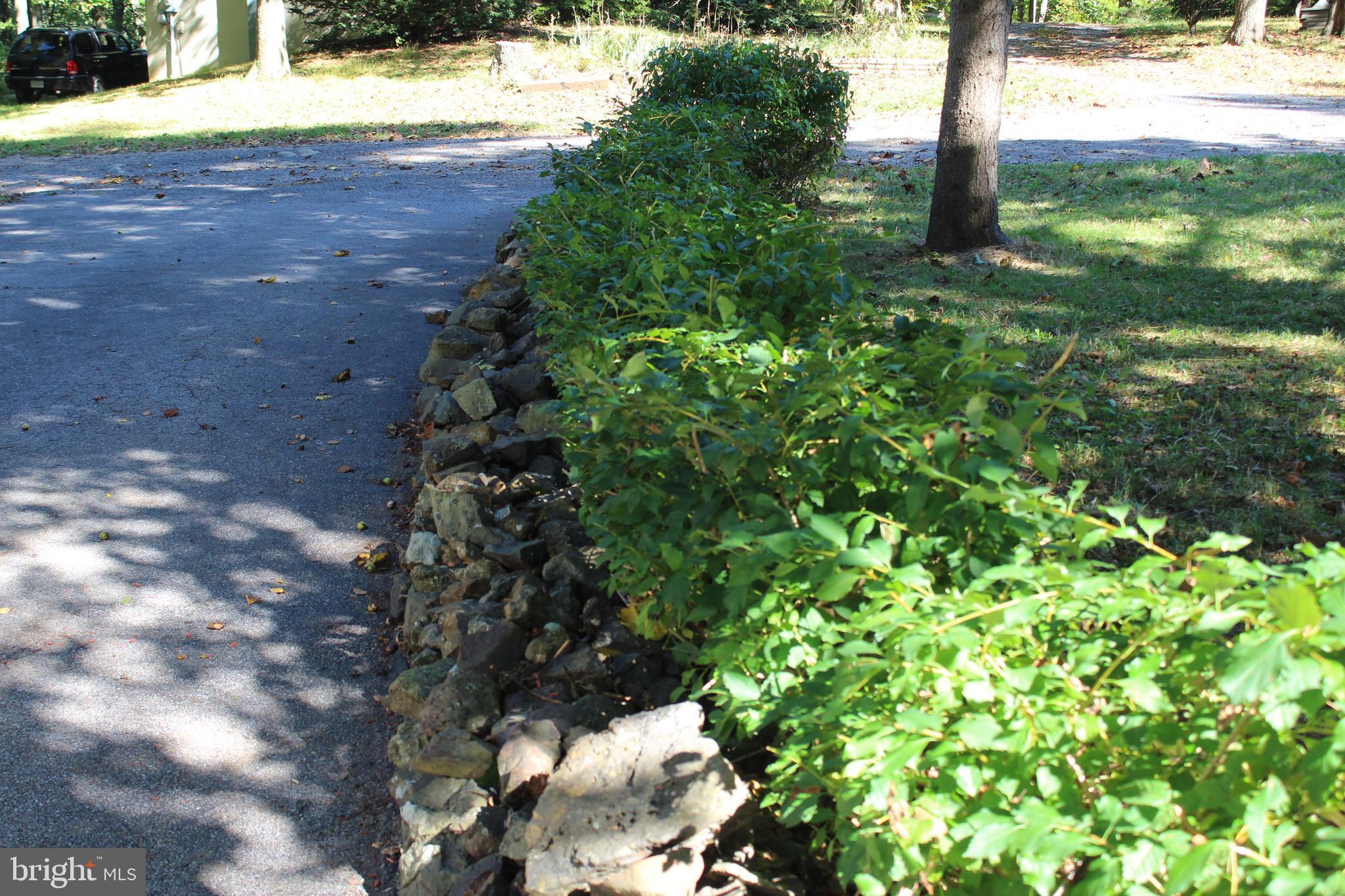 280 Chester Gap Road Chester Gap, VA 22623 - Photo 19 of 90 Gallery Image 19