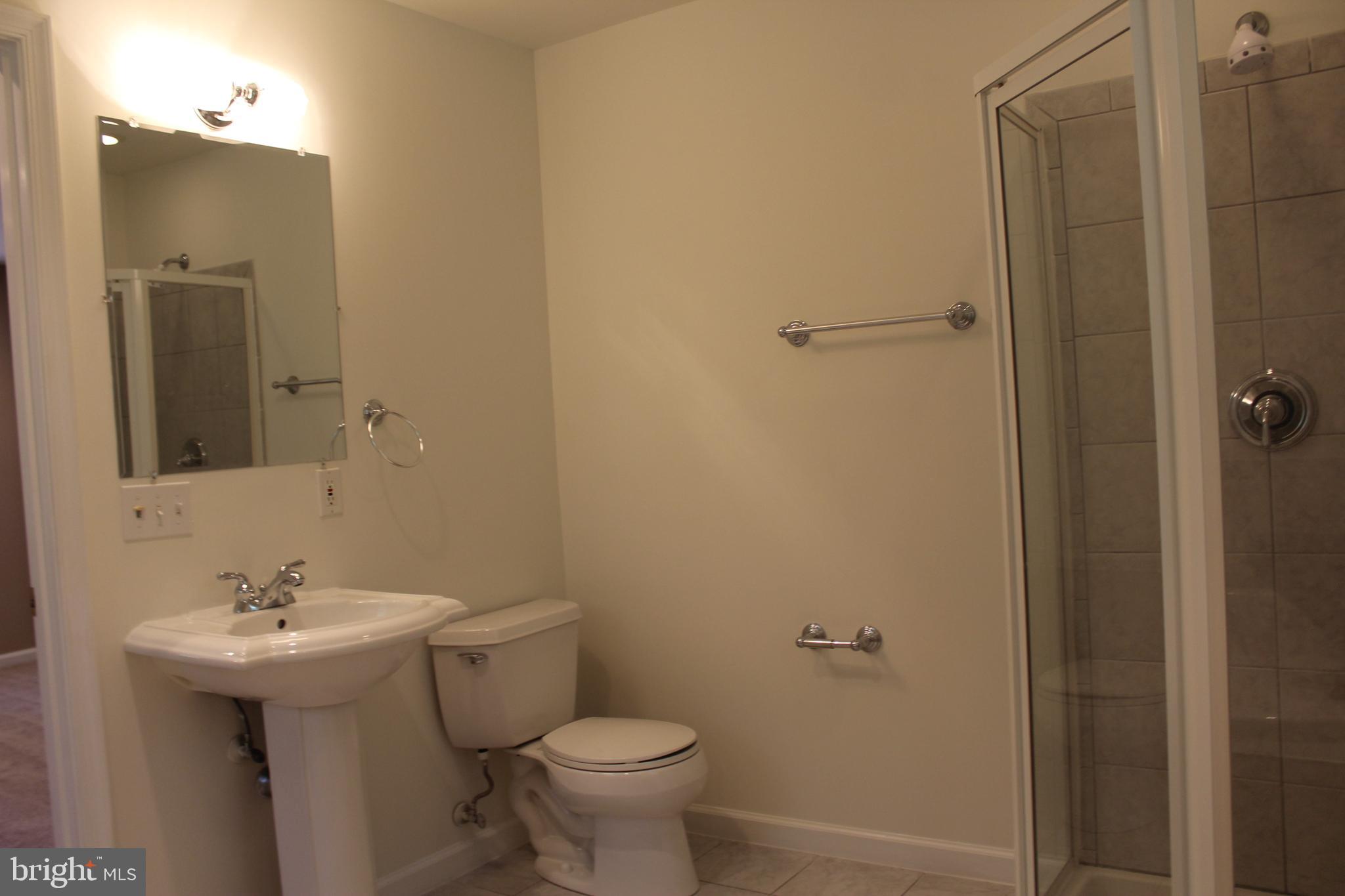 280 Chester Gap Road Chester Gap, VA 22623 - Photo 54 of 90 Master bathroom