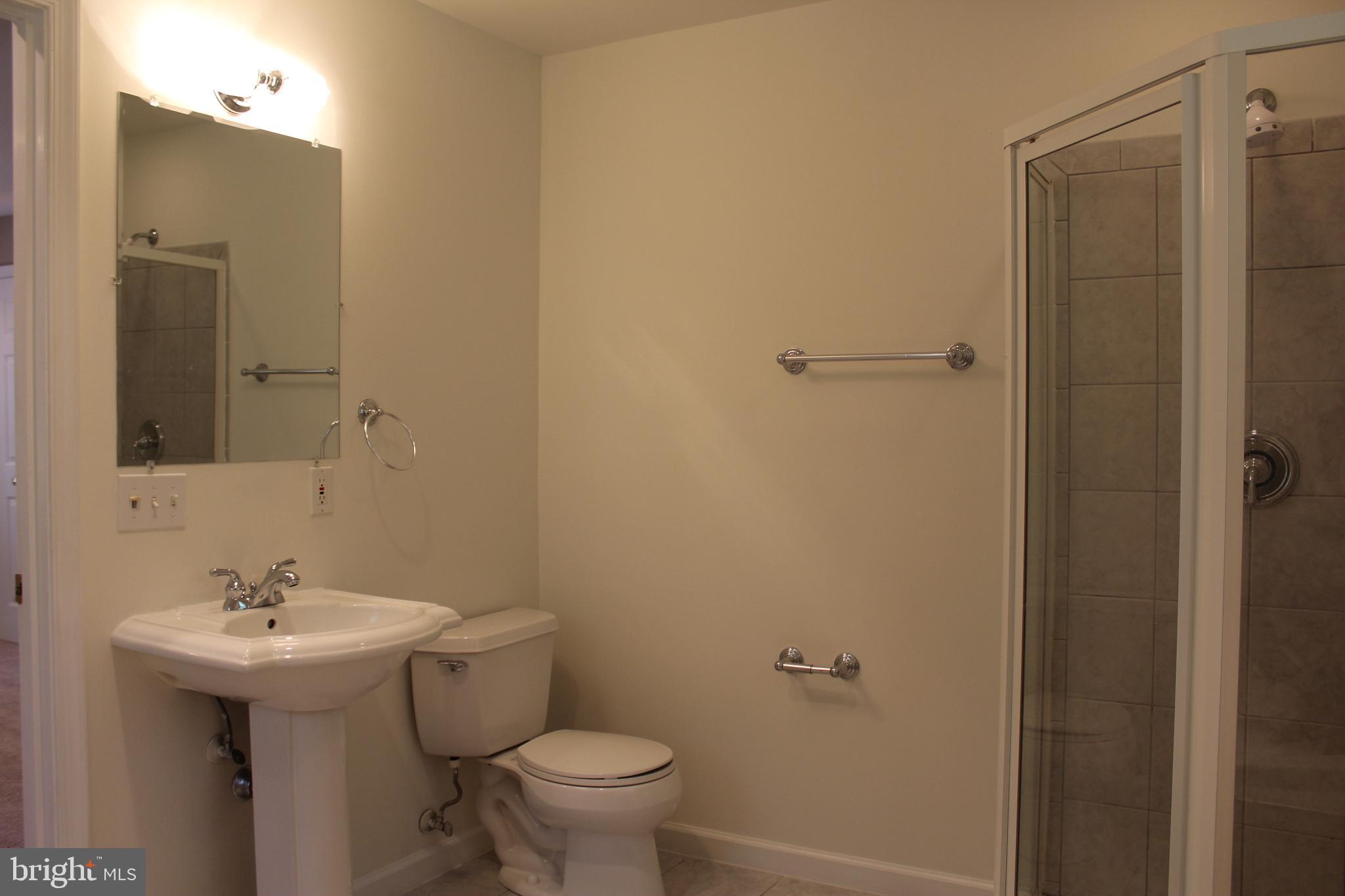 280 Chester Gap Road Chester Gap, VA 22623 - Photo 55 of 90 Master bathroom
