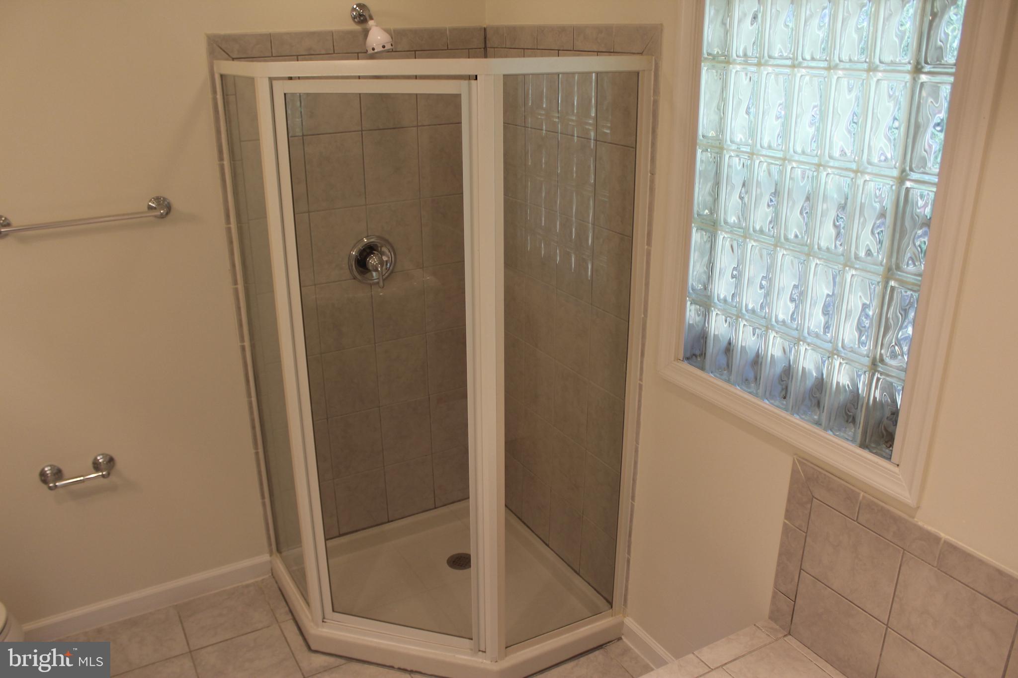 280 Chester Gap Road Chester Gap, VA 22623 - Photo 56 of 90 Master Bathroom shower