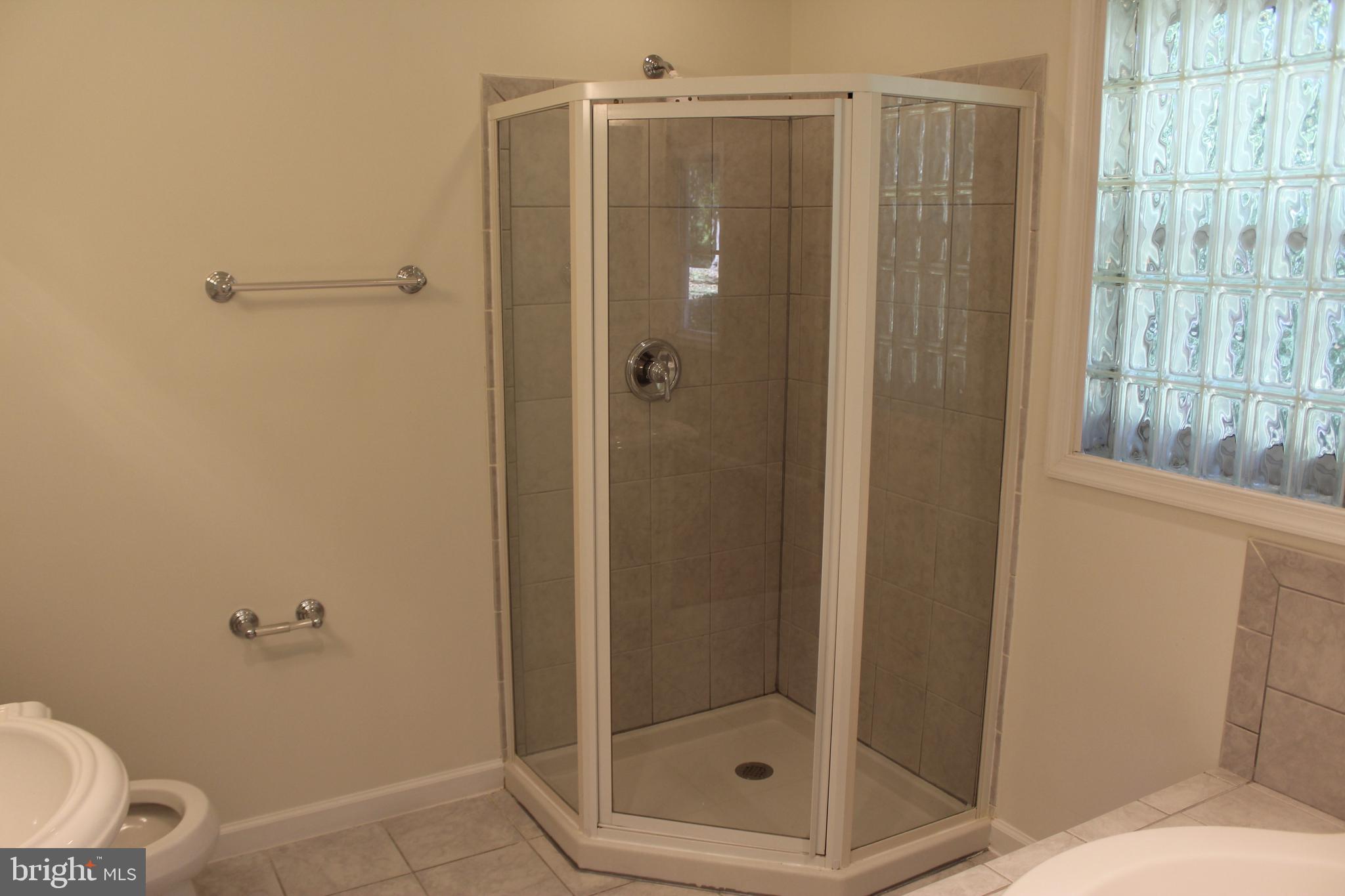 280 Chester Gap Road Chester Gap, VA 22623 - Photo 57 of 90 Master bathroom shower