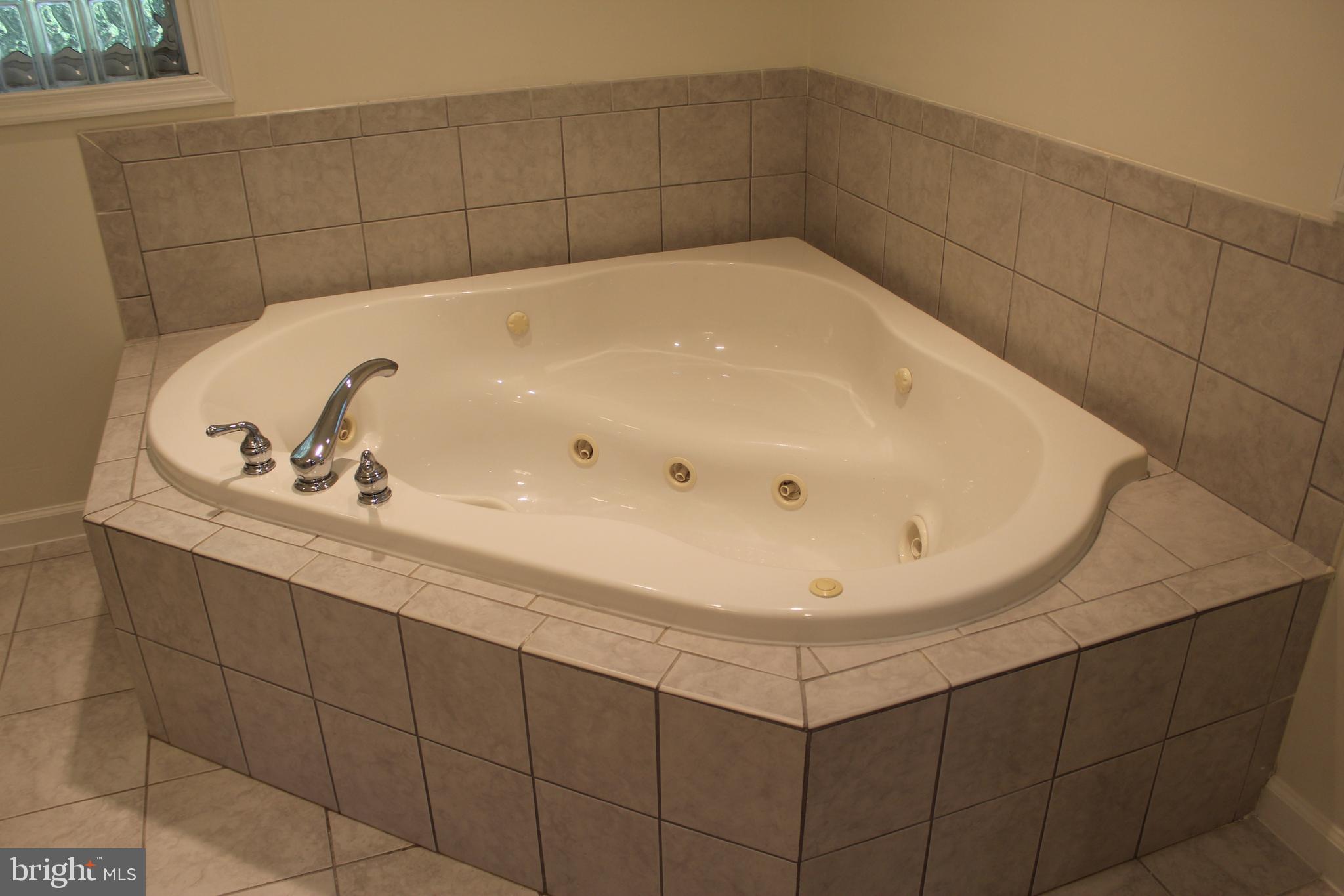 280 Chester Gap Road Chester Gap, VA 22623 - Photo 58 of 90 Mater bathroom