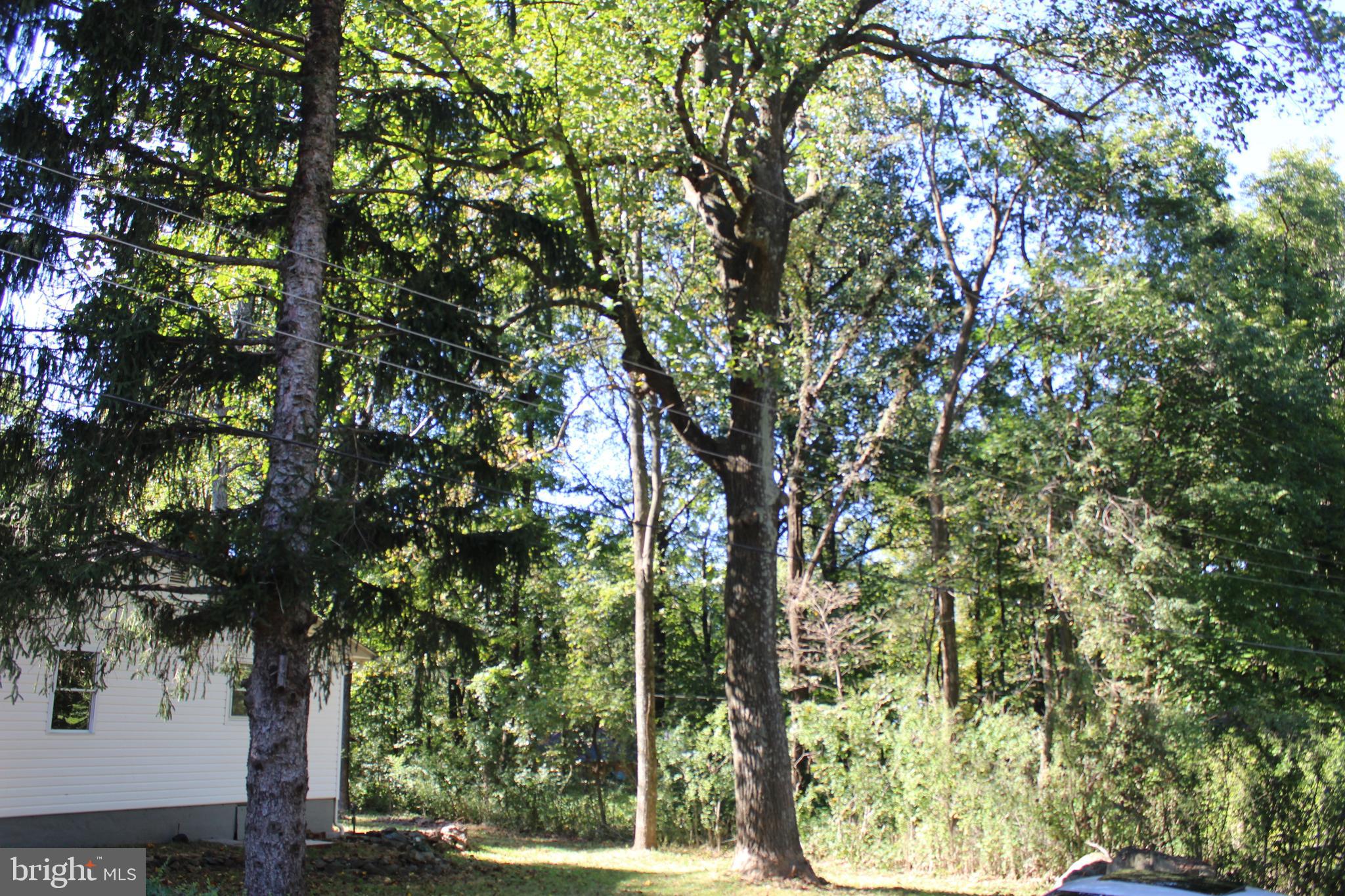 280 Chester Gap Road Chester Gap, VA 22623 - Photo 78 of 90 Gallery Image 78