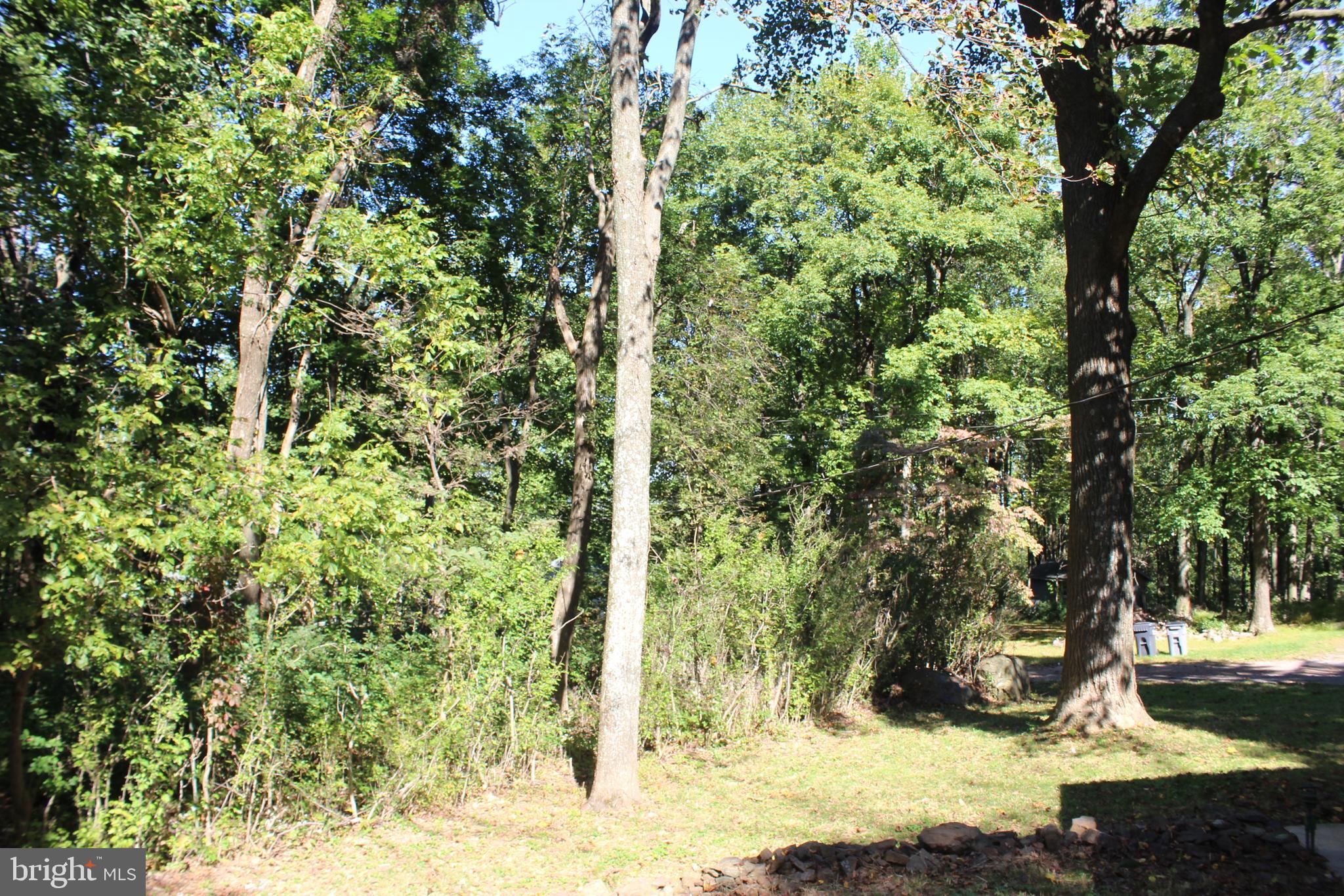 280 Chester Gap Road Chester Gap, VA 22623 - Photo 79 of 90 Gallery Image 79