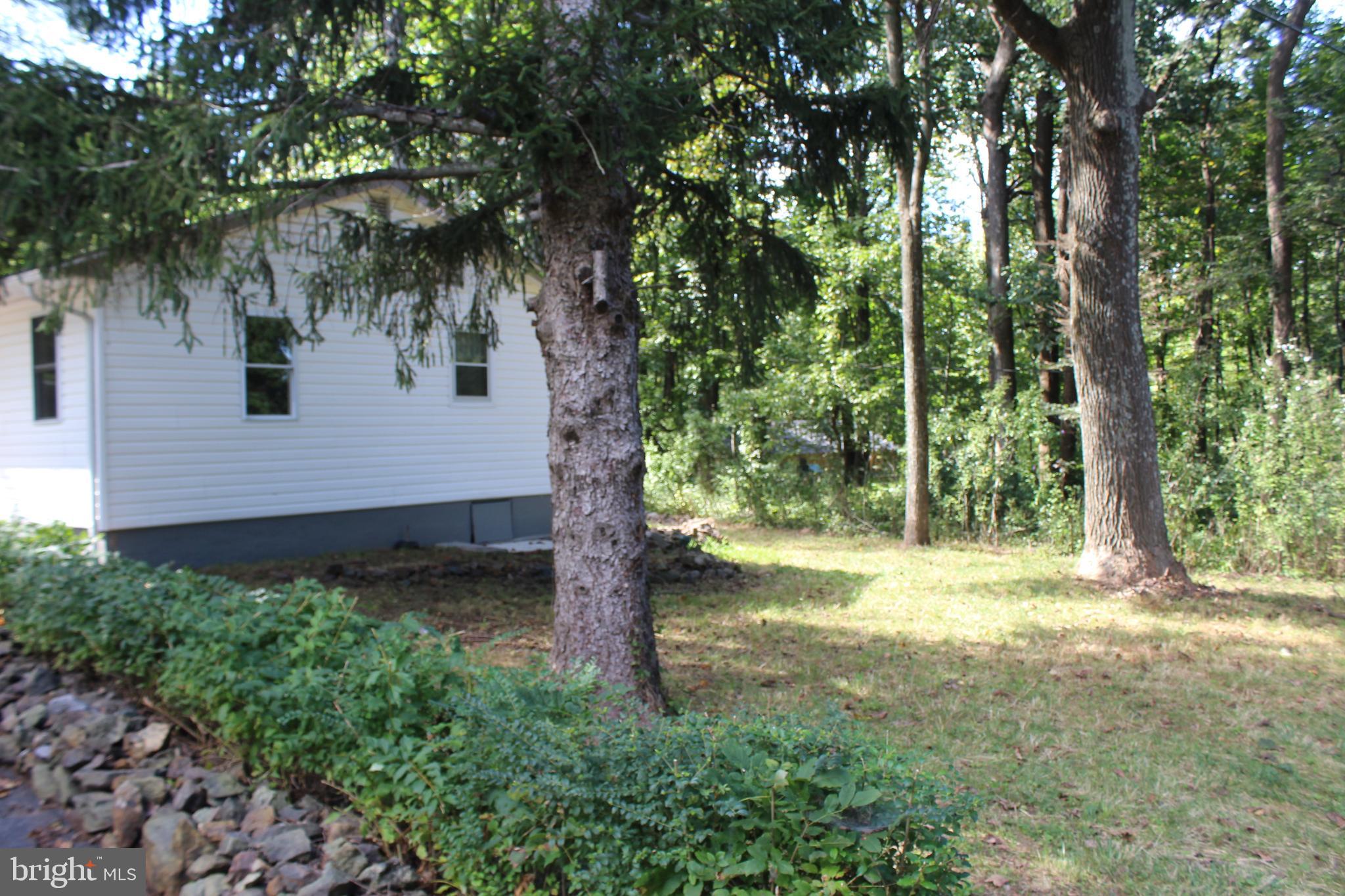 280 Chester Gap Road Chester Gap, VA 22623 - Photo 89 of 90 Gallery Image 89