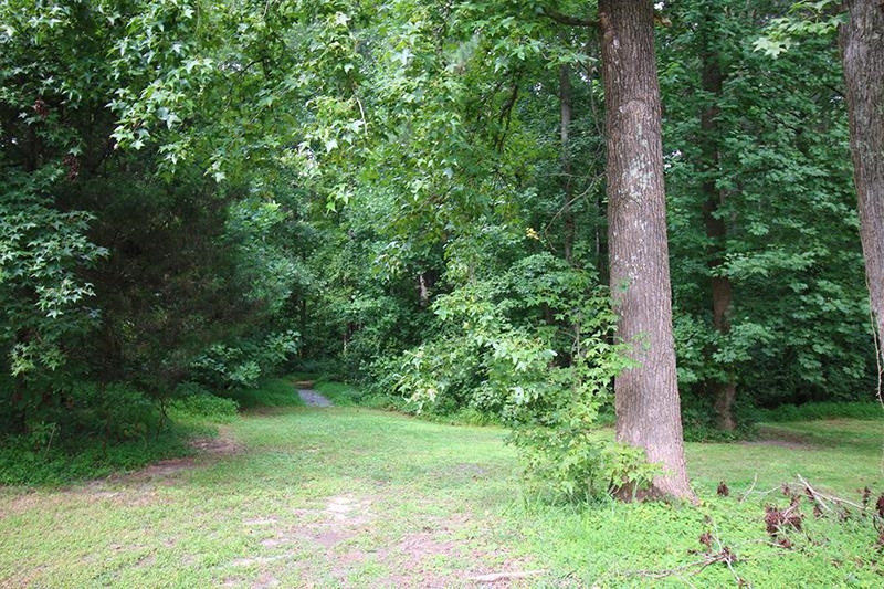1421 Jenks Carpenter Road Cary, NC 27519 - Photo 49 of 65 Yard