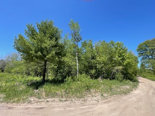 0 Aylsworth Road Beulah, MI 49617 - Photo 6 of 7