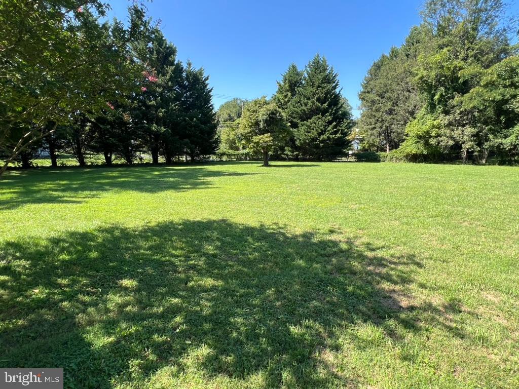 13719 Notley Road Silver Spring, MD 20904 - Photo 3 of 8 a view of field with trees
