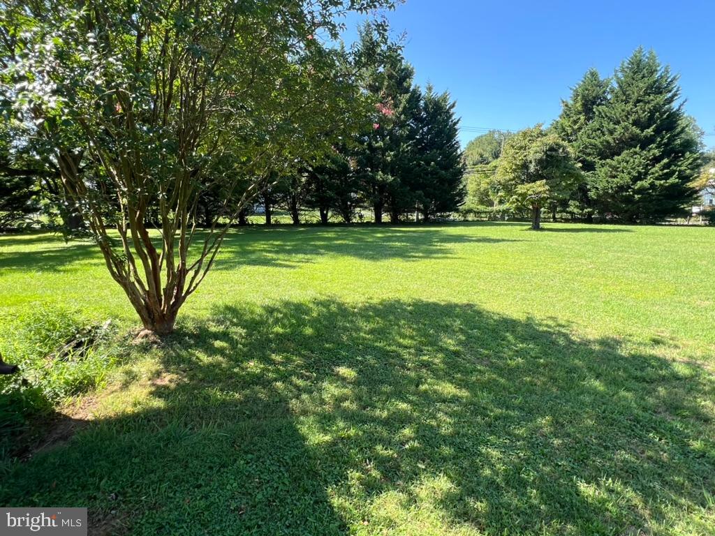 13719 Notley Road Silver Spring, MD 20904 - Photo 4 of 8 a view of field with trees in the background