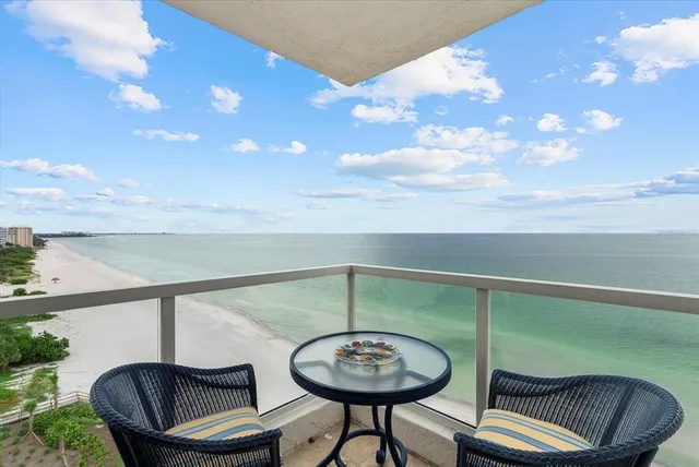 a balcony with table and chairs and a potted plant