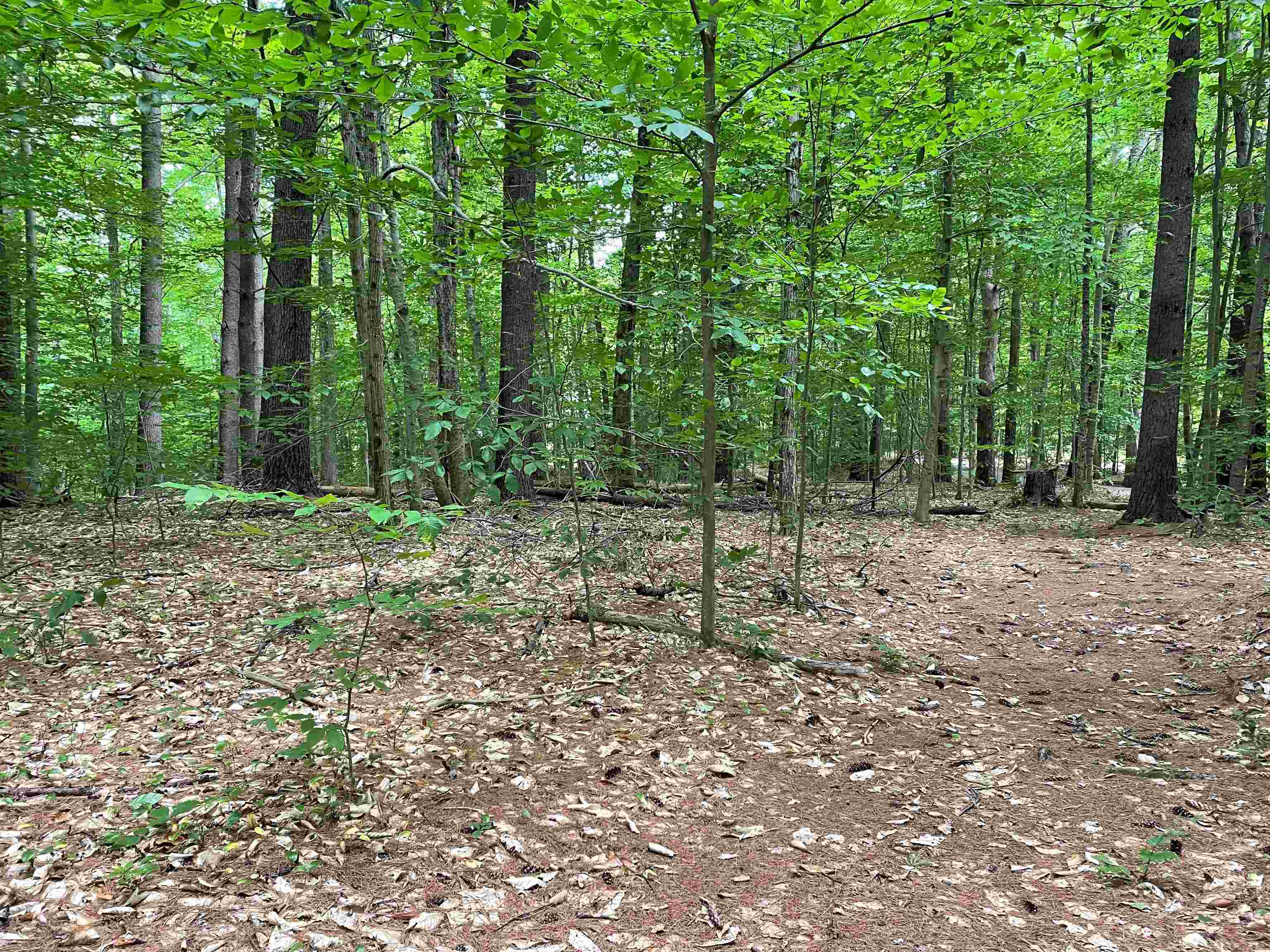 0 Kesumpe Point Road Holderness, NH 03245 - Photo 1 of 5