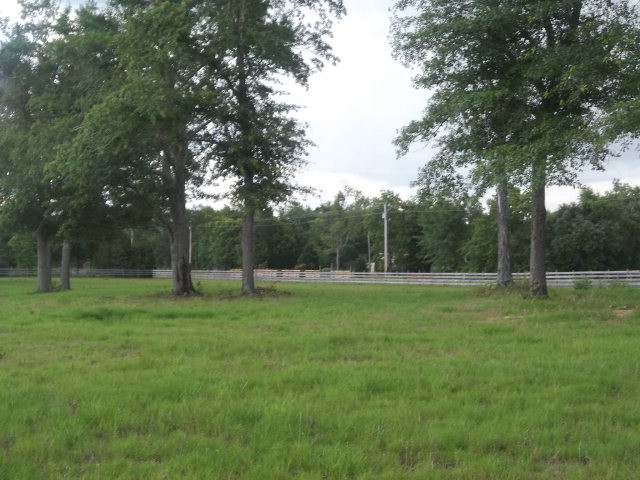 374 Cedar Road Windsor, SC 29856 - Photo 3 of 8