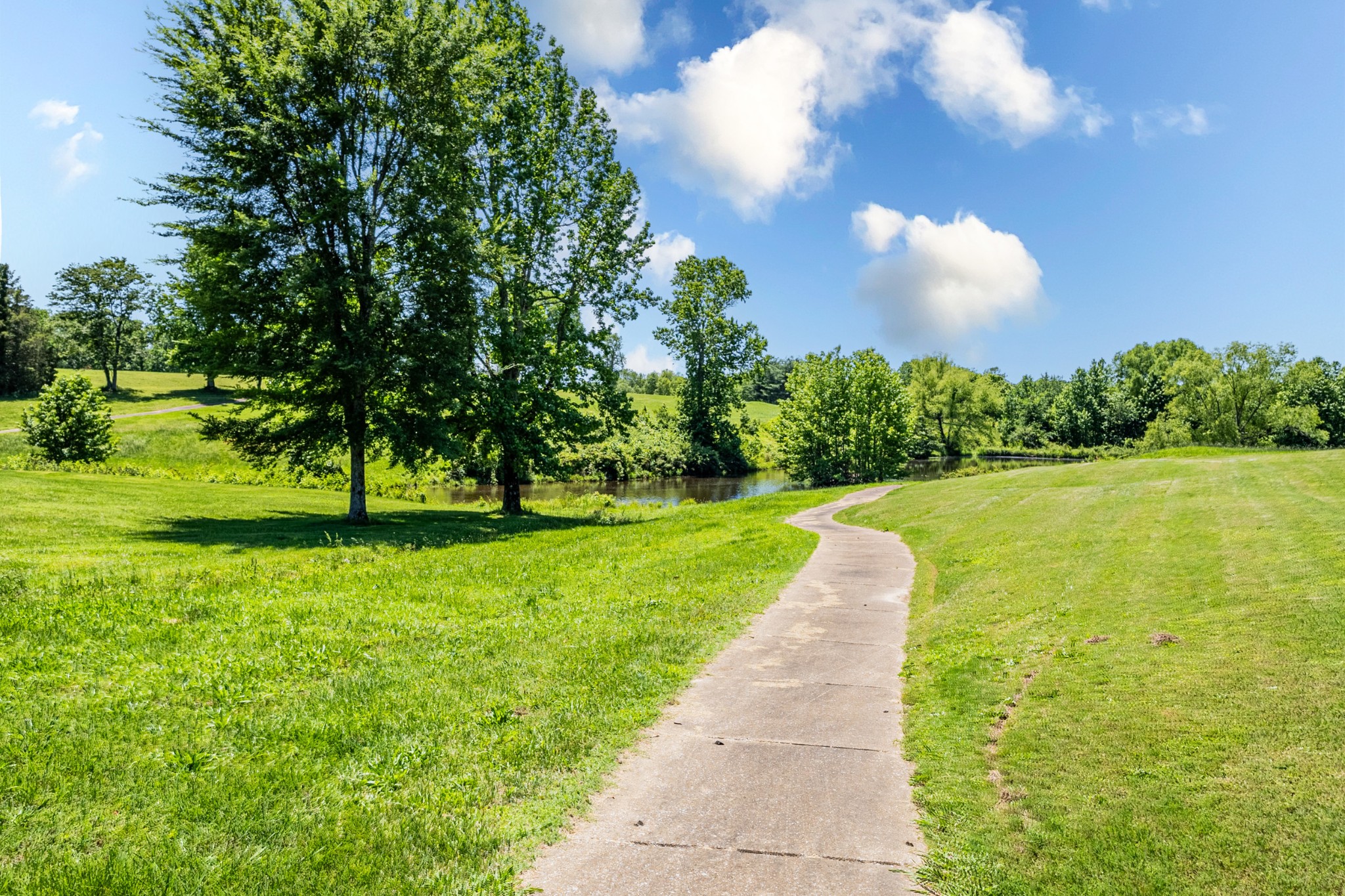 565 Eagle Loop Loretto, TN 38469 - Photo 58 of 59