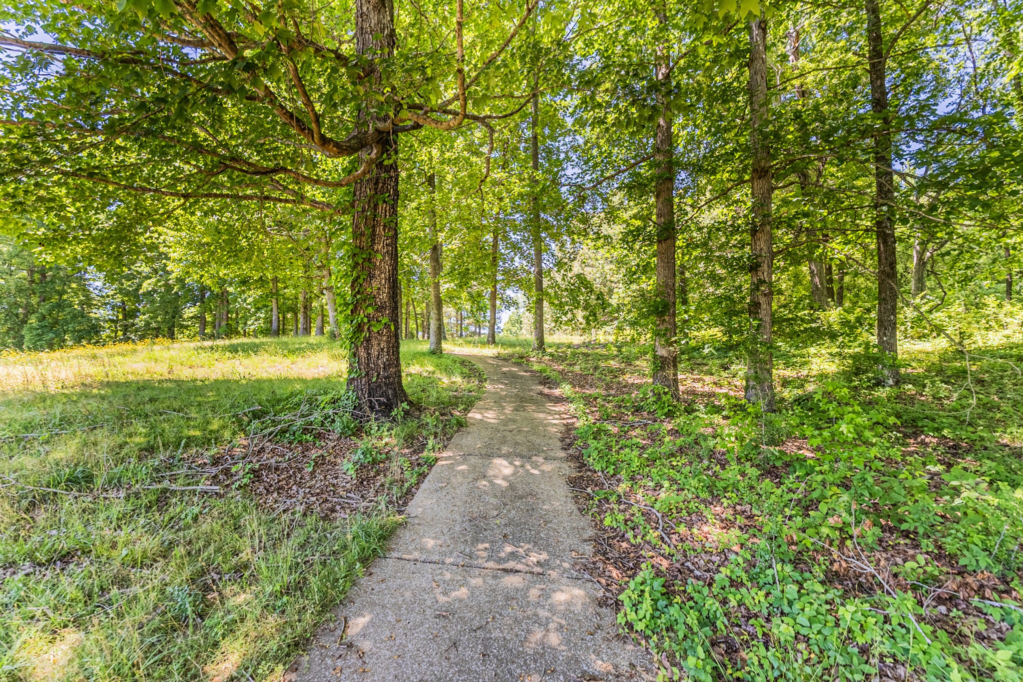 565 Eagle Loop Loretto, TN 38469 - Photo 59 of 59