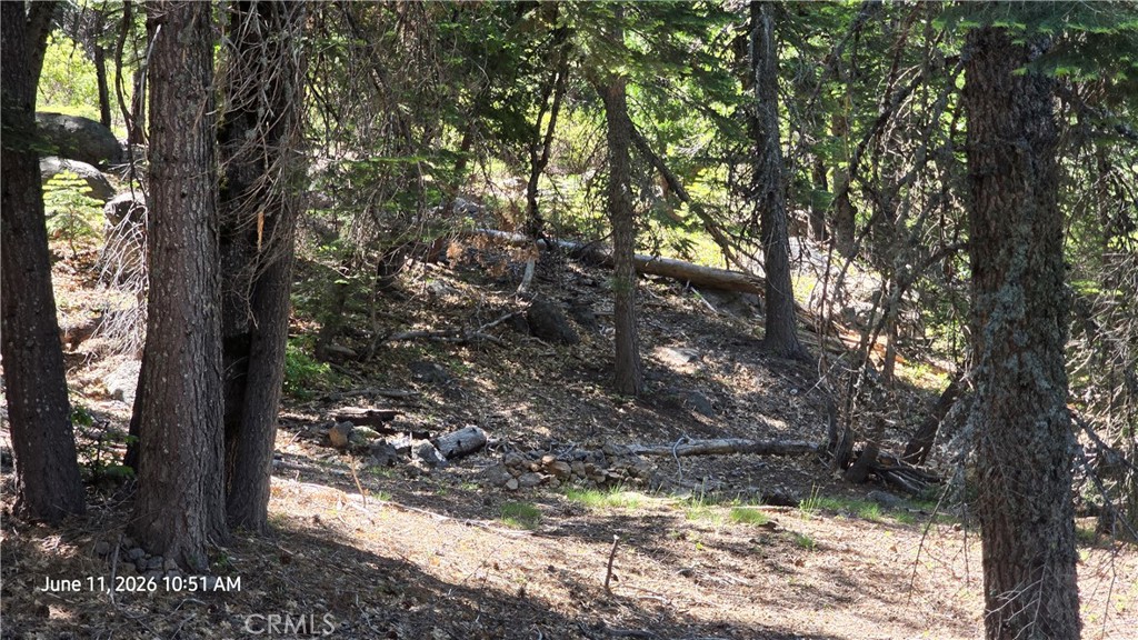 0 Fish Creek Forest Ranch, CA 95942 - Photo 25 of 43 Fire pit at Cabin #1