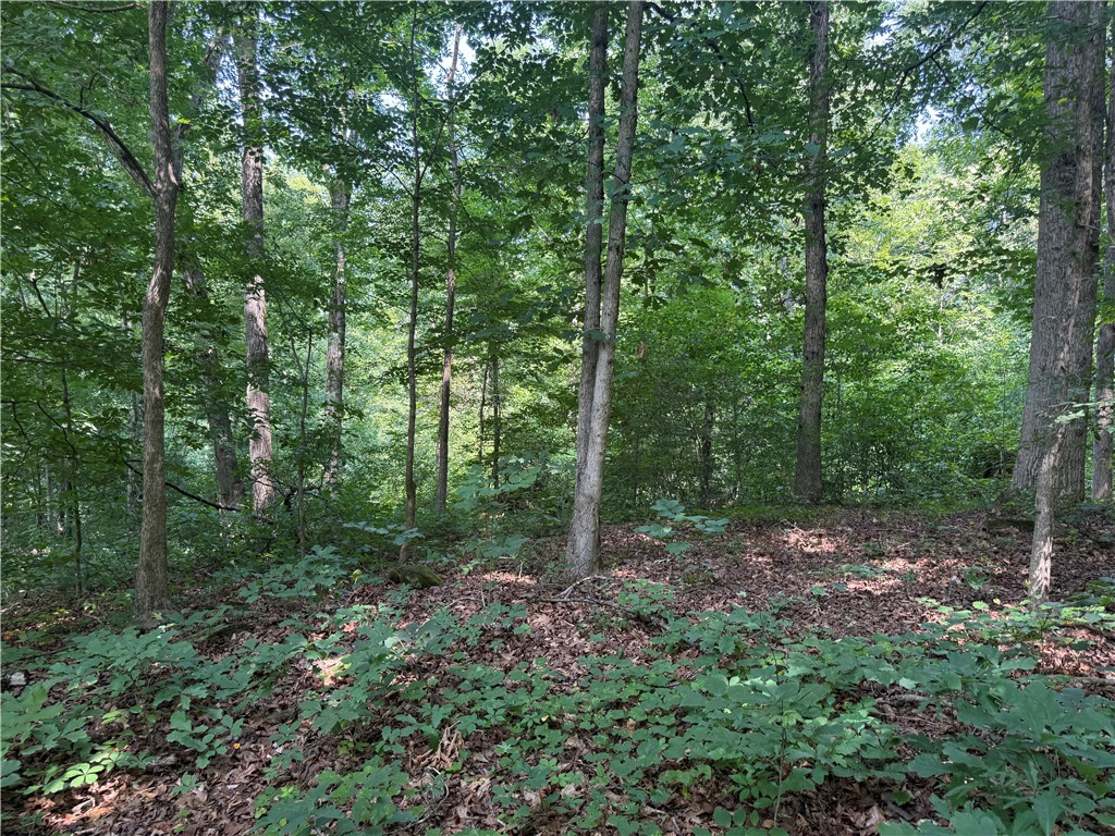 0 Fox Fire Road Central, SC 29630 - Photo 14 of 23