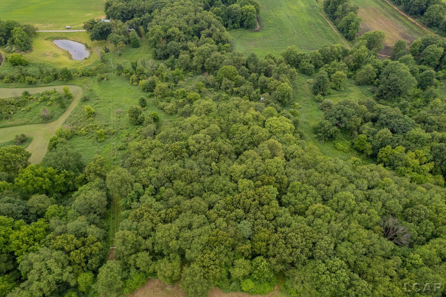 2010 South Kane Road Stockbridge, MI 49285 - Photo 64 of 80
