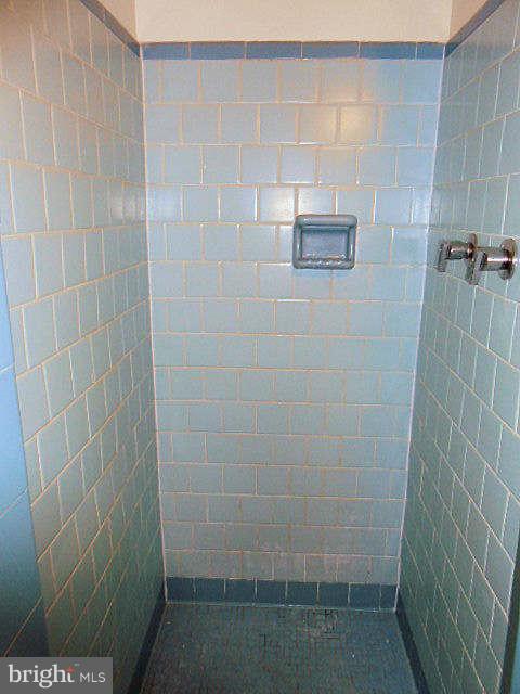 10618 Old Colchester Road Lorton, VA 22079 - Photo 18 of 30 Bath (Master)