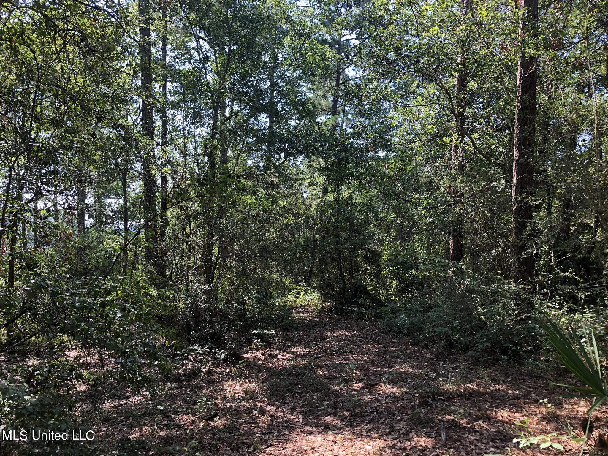 0 Rolling Meadows Road Gautier, MS 39553 - Photo 40 of 70 Building site