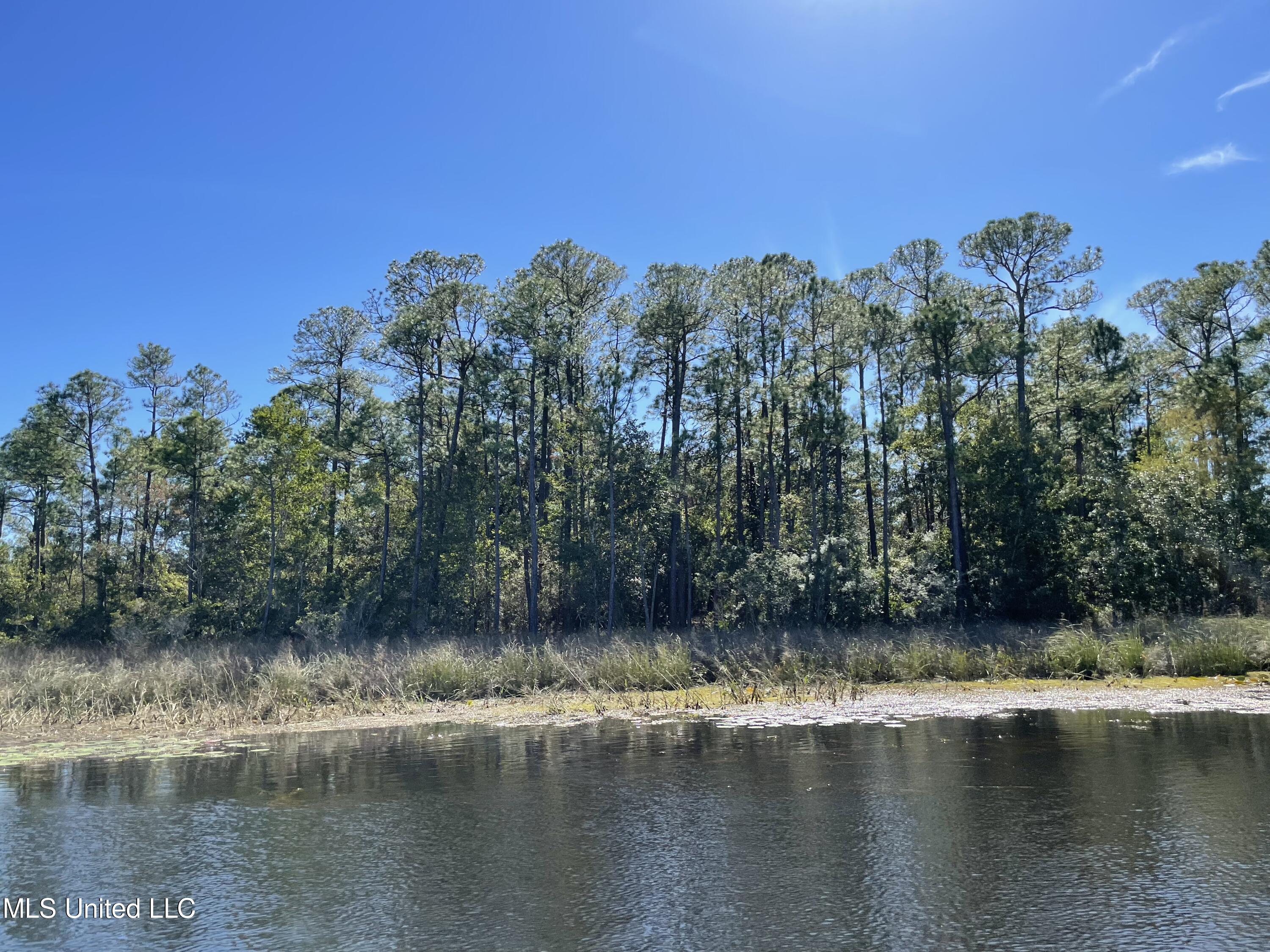 0 Rolling Meadows Road Gautier, MS 39553 - Photo 54 of 70 Bayou living.