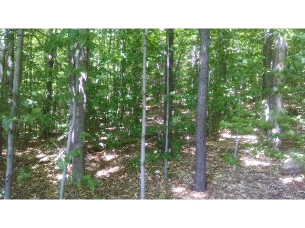Lot #3 South Brownell Road Williston, VT 05495 - Photo 5 of 7