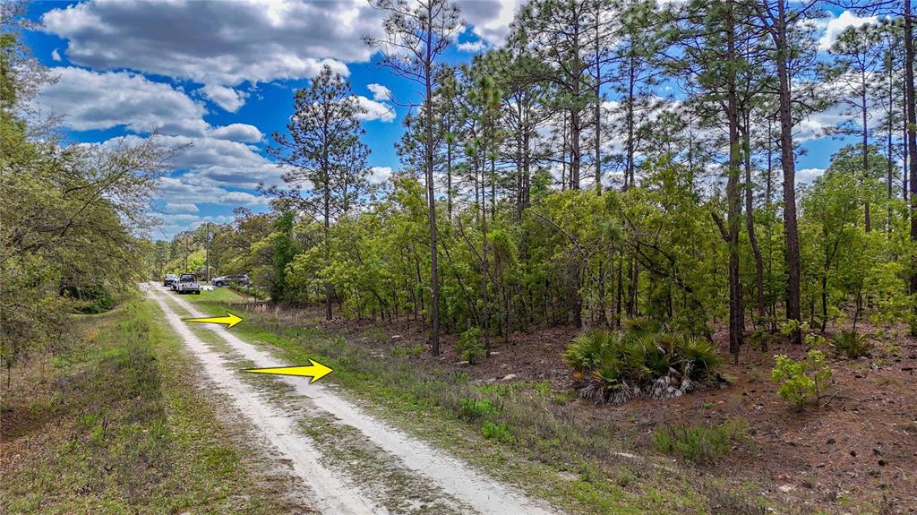 Tbd Southwest 137th Ct Road Dunnellon, FL 34432 - Photo 15 of 19