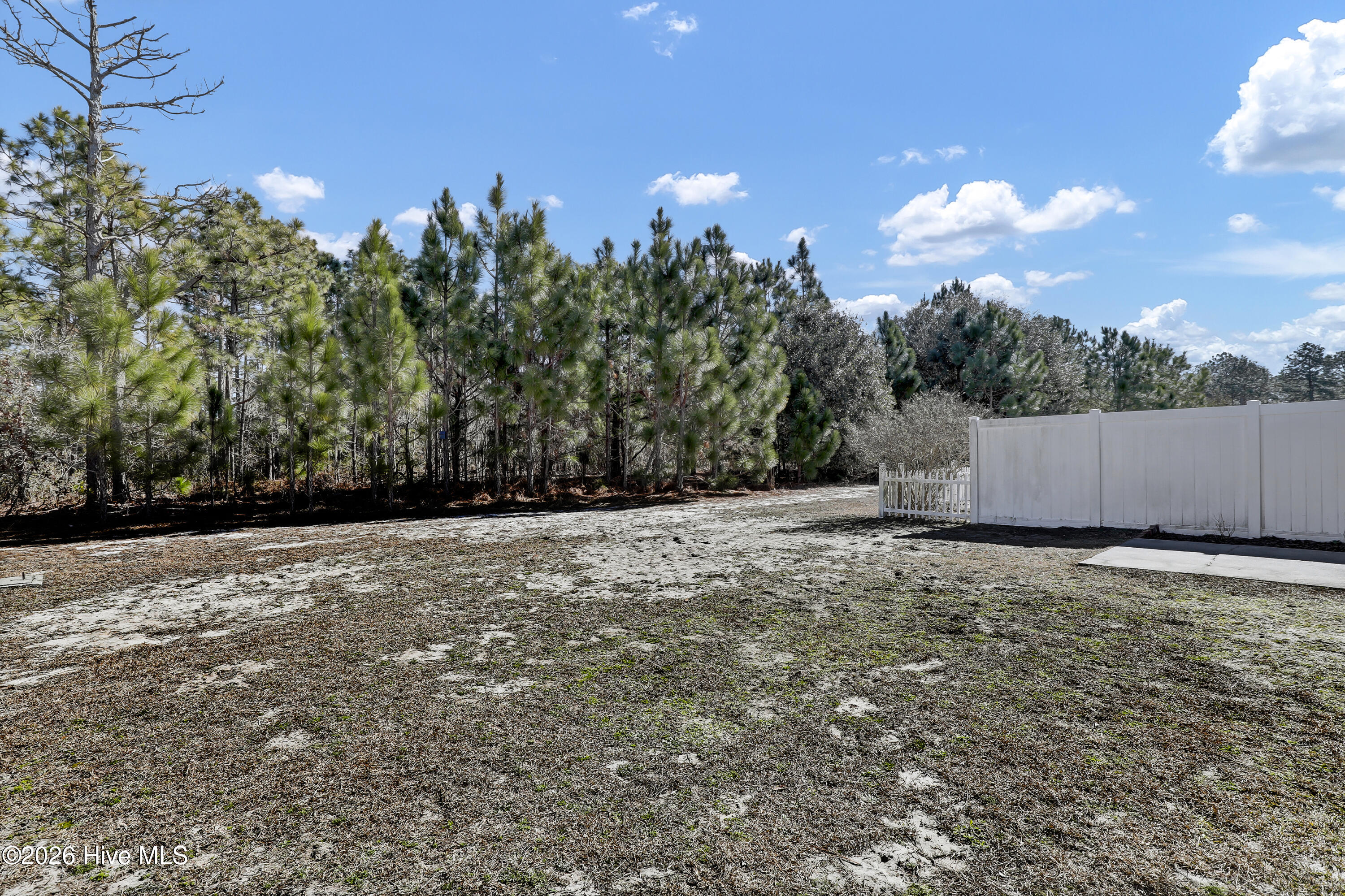 185 Pine Hollow Road Holly Ridge, NC 28445 - Photo 25 of 27 25