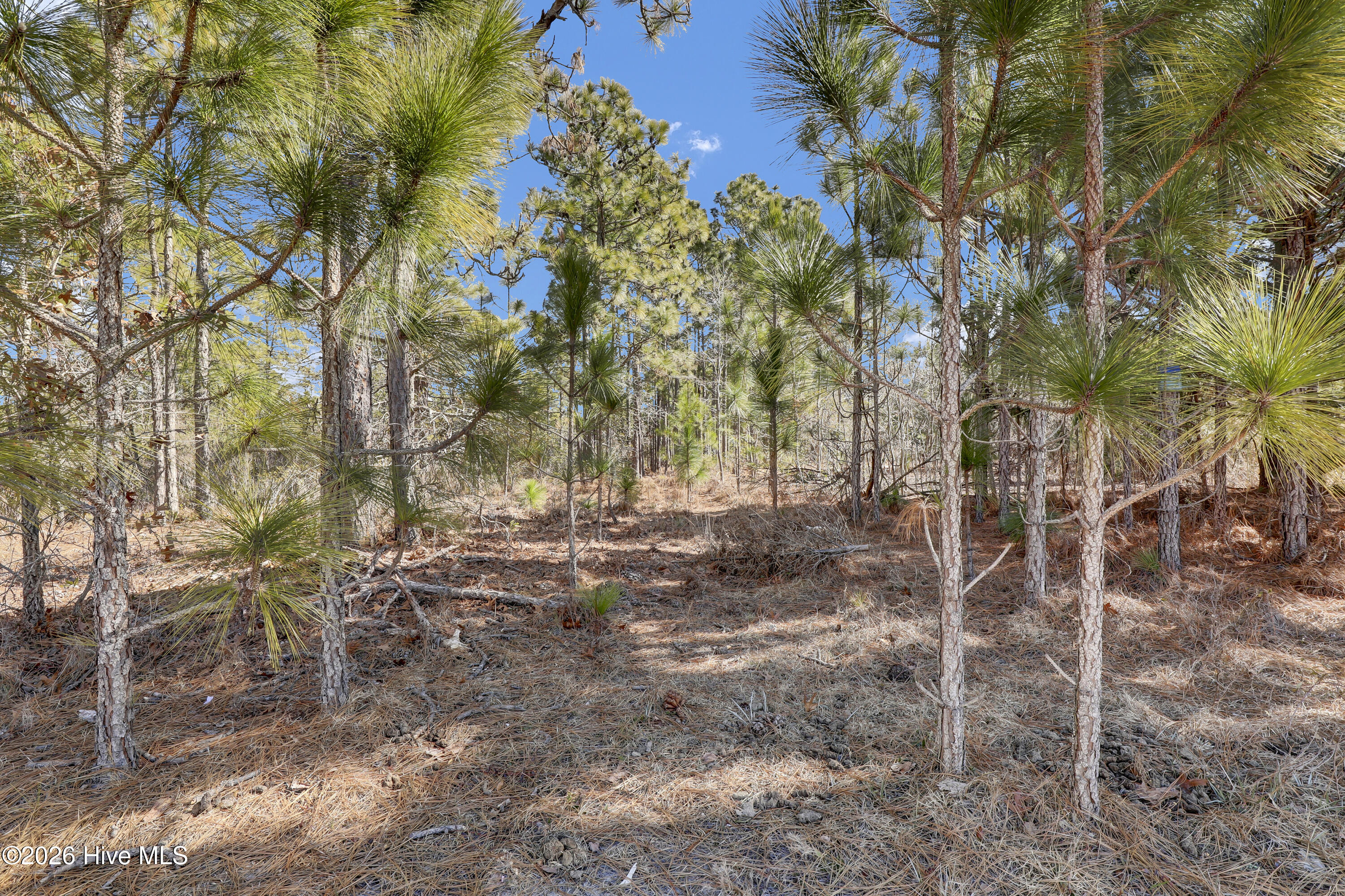 185 Pine Hollow Road Holly Ridge, NC 28445 - Photo 26 of 27 26