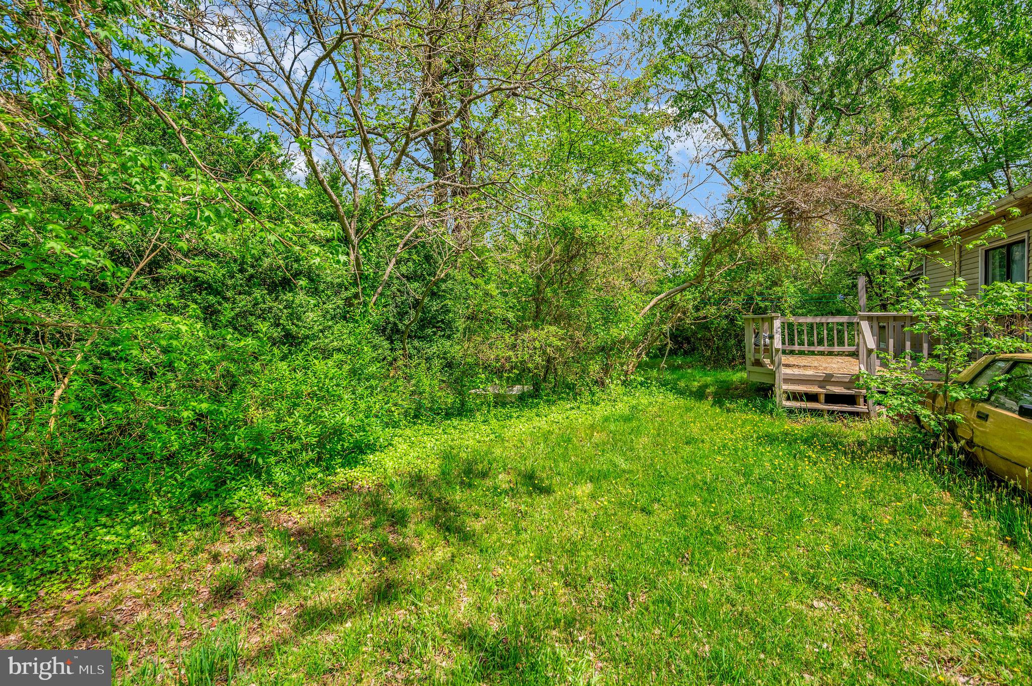 1385 Willis Proffitt Road Mineral, VA 23117 - Photo 13 of 46 Walk way to open pasture
