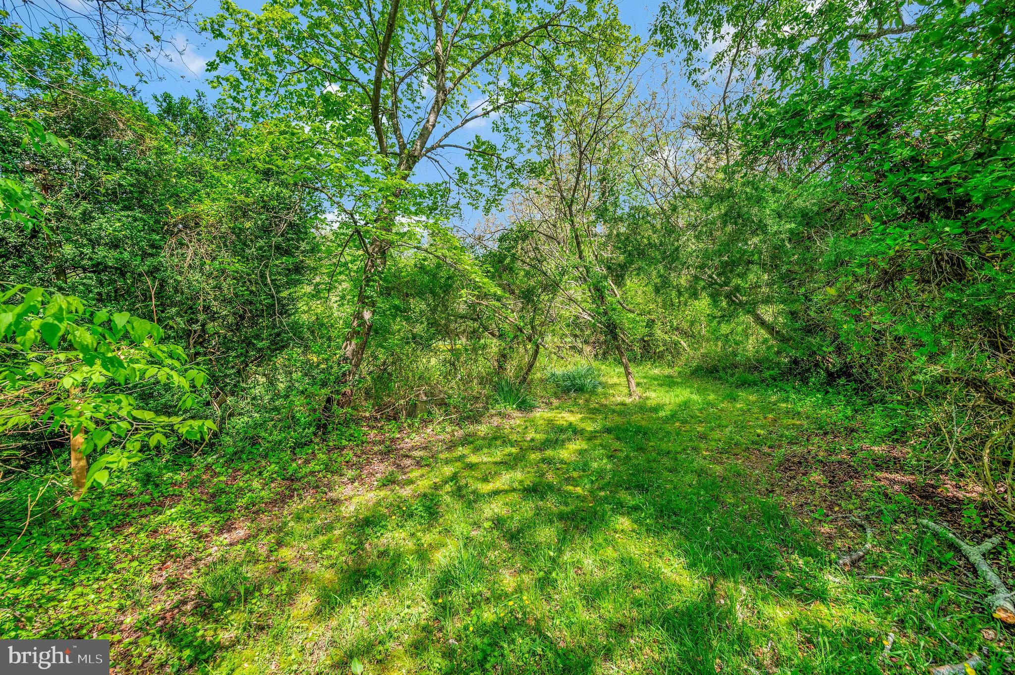 1385 Willis Proffitt Road Mineral, VA 23117 - Photo 14 of 46 Walk way to open pasture
