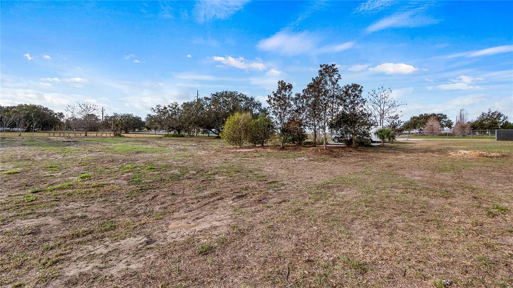 Woodlea Road Tavares, FL 32778 - Photo 37 of 63 a view of dirt field with trees in background