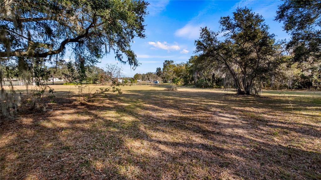 Woodlea Road Tavares, FL 32778 - Photo 48 of 63 a view of dirt field with trees