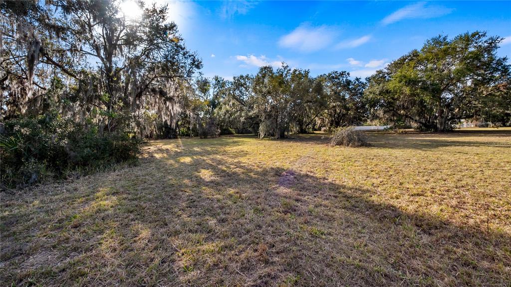 Woodlea Road Tavares, FL 32778 - Photo 50 of 63