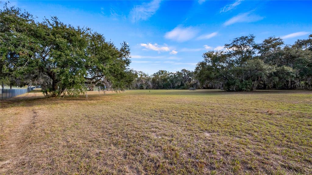 Woodlea Road Tavares, FL 32778 - Photo 51 of 63 a view of a field with trees in background