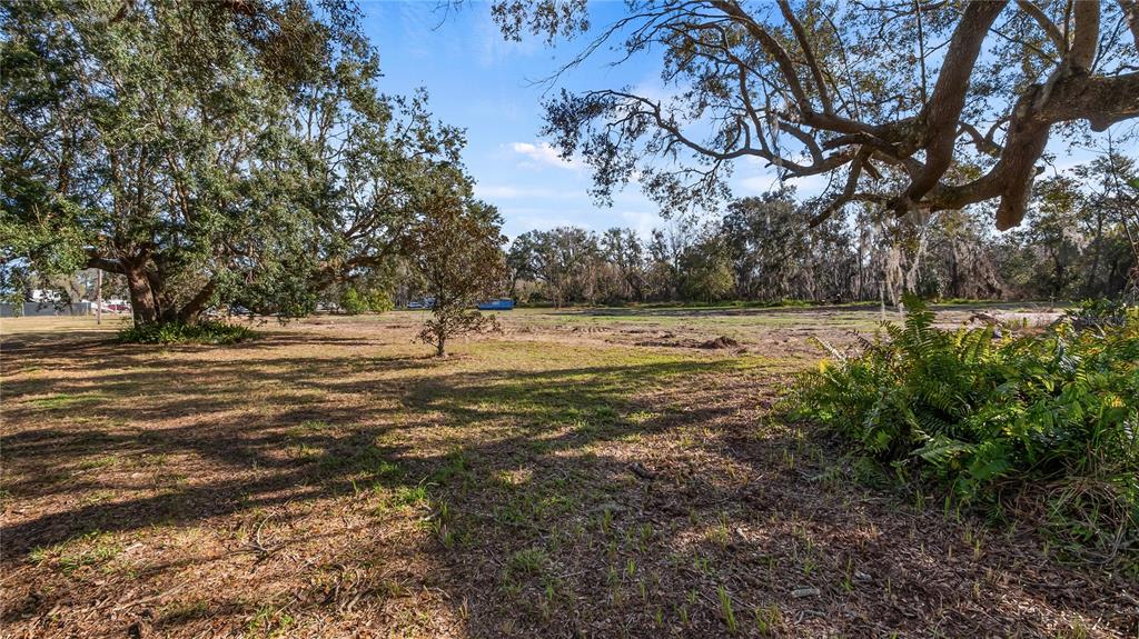 Woodlea Road Tavares, FL 32778 - Photo 53 of 63 a view of outdoor space with trees