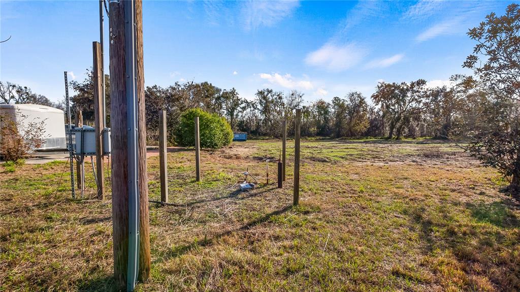 Woodlea Road Tavares, FL 32778 - Photo 55 of 63 a view of a yard