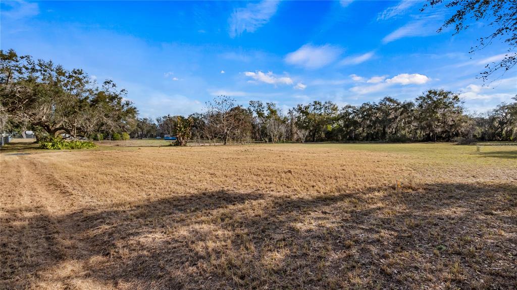 Woodlea Road Tavares, FL 32778 - Photo 7 of 63