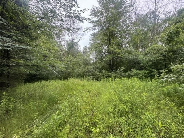 Elmwood Rd Green Green Bay, WI 54313 - Photo 8 of 16