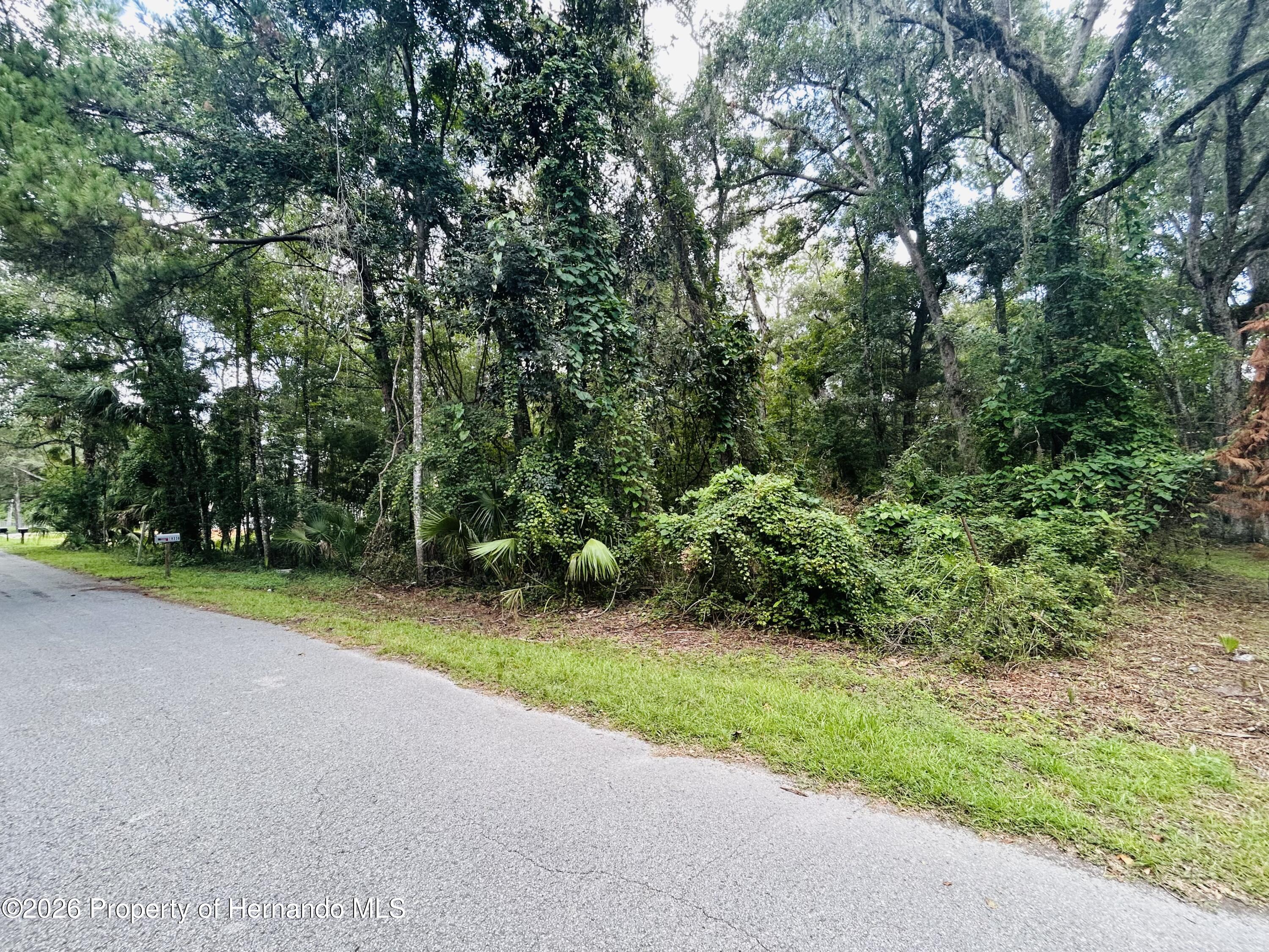 0 Campground Road Brooksville, FL 34601 - Photo 5 of 6 Gallery Image 5