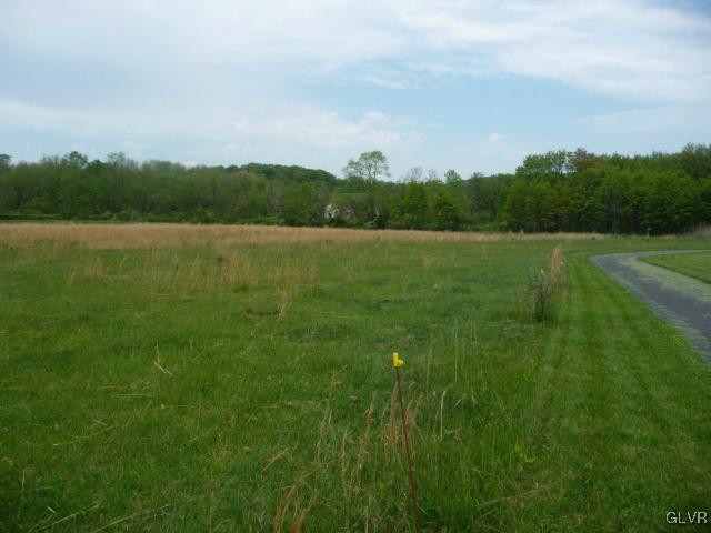 Lehnenberg Road Kintnersville, PA 18930 - Photo 4 of 7 Gallery Image 4