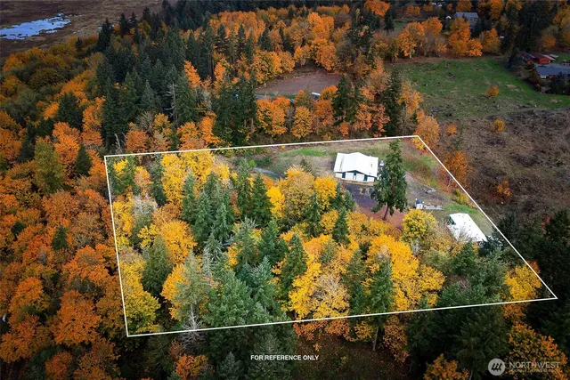 a view of a house with backyard and a tree