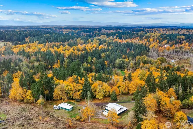 aerial view of a yard