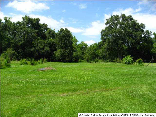 41168 Cannon Road Gonzales, LA 70737 - Photo 13 of 14 Gallery Image 13