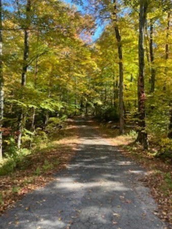 298 Haydenville Road Whately, MA 01093 - Photo 1 of 33 a view of a yard