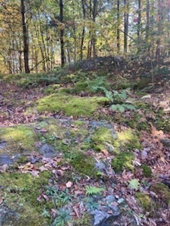 298 Haydenville Road Whately, MA 01093 - Photo 24 of 33 a view of yard