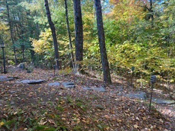298 Haydenville Road Whately, MA 01093 - Photo 3 of 33 a view of a forest that has large trees