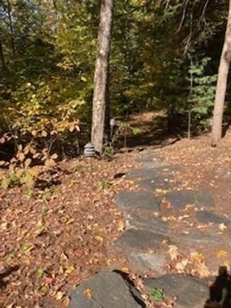 298 Haydenville Road Whately, MA 01093 - Photo 4 of 33 a backyard of a house with a trees
