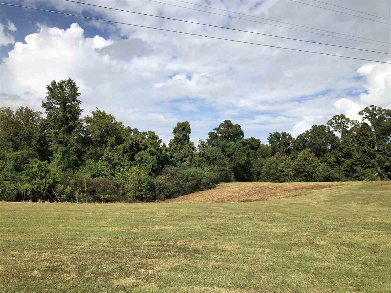 2344 Chisholm Lake Road Ripley, TN 38063 - Photo 2 of 9