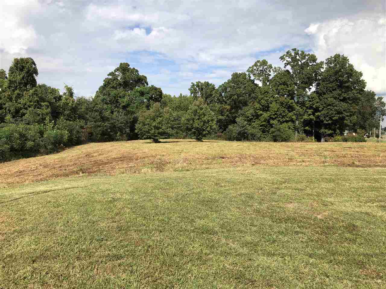 2344 Chisholm Lake Road Ripley, TN 38063 - Photo 5 of 9