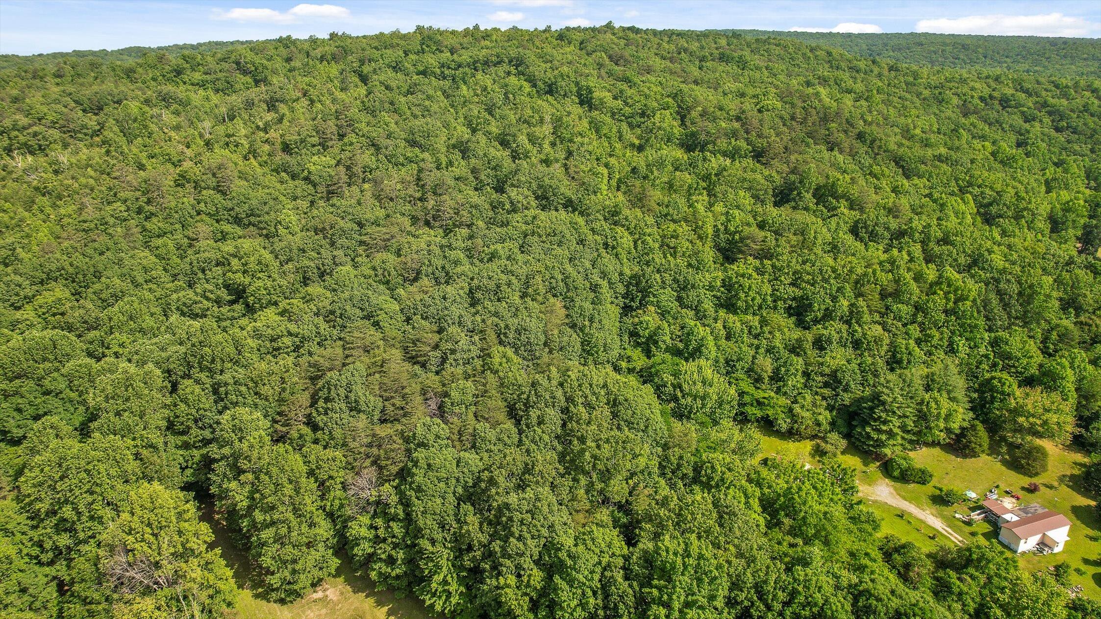 4300 Pocket Road Whitwell, TN 37397 - Photo 18 of 33 17-Pocket-17